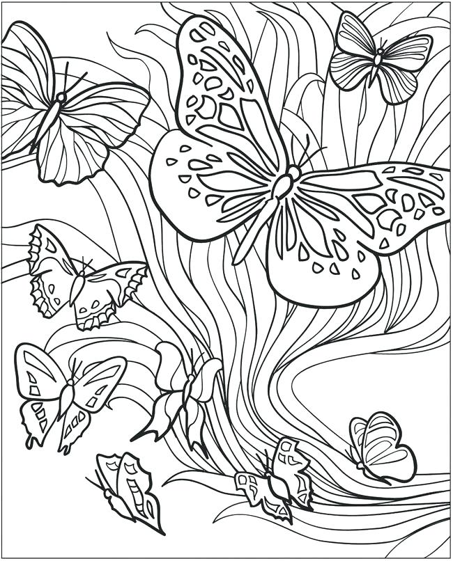 Butterfly Coloring Pages for Adults - Best Coloring Pages ...