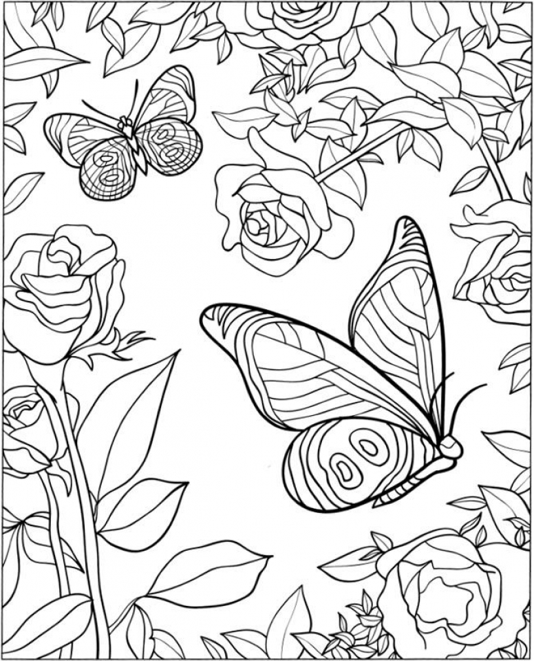 Butterfly Coloring Pages Adult Coloring