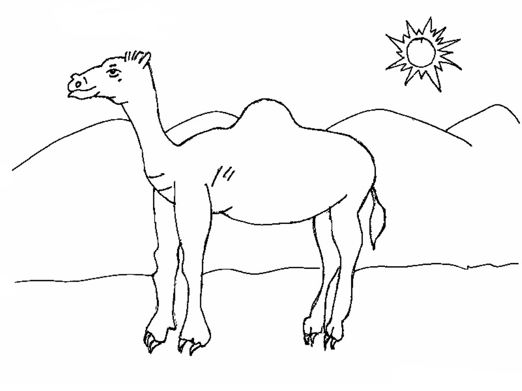 Desert Coloring Pages For Kids 9