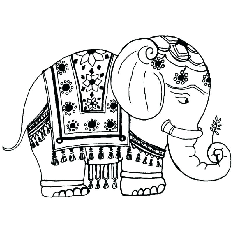 elephant coloring pages for adults  best coloring pages for