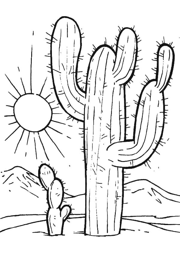 Desert Coloring Pages For Kids 3