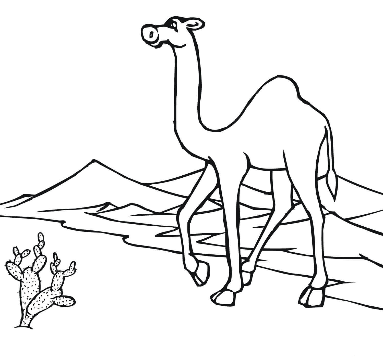 Download Desert Coloring Pages - Best Coloring Pages For Kids