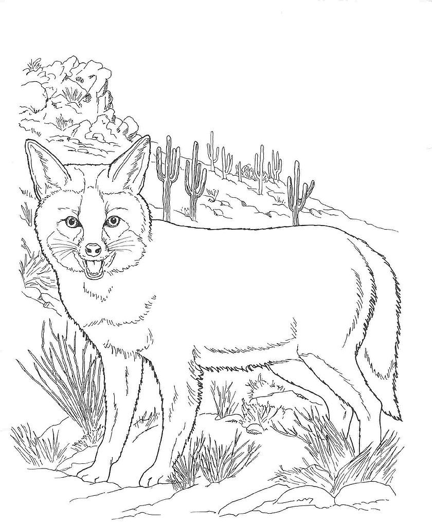 Desert Coloring Pages   Best Coloring Pages For Kids