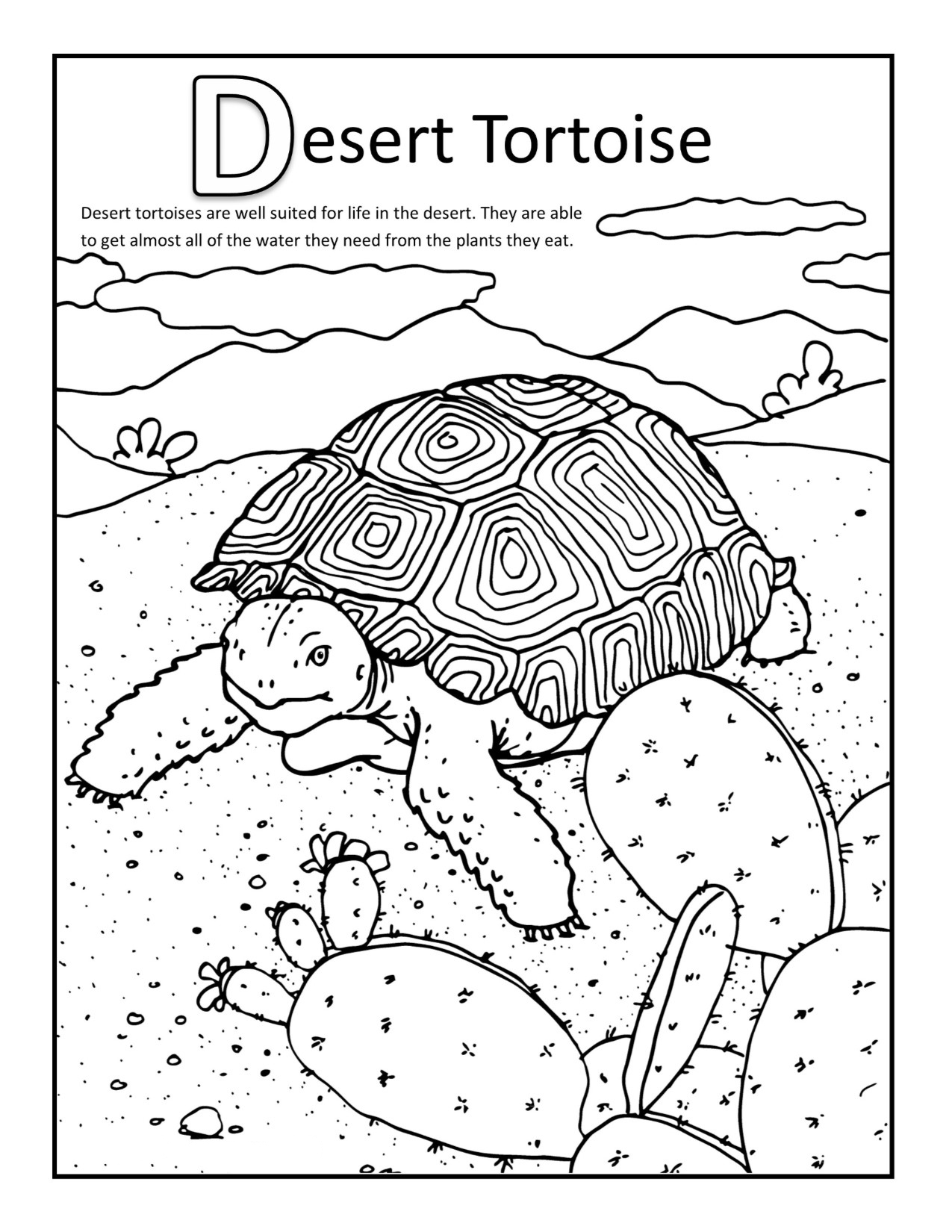 desert coloring pages for preschoolers