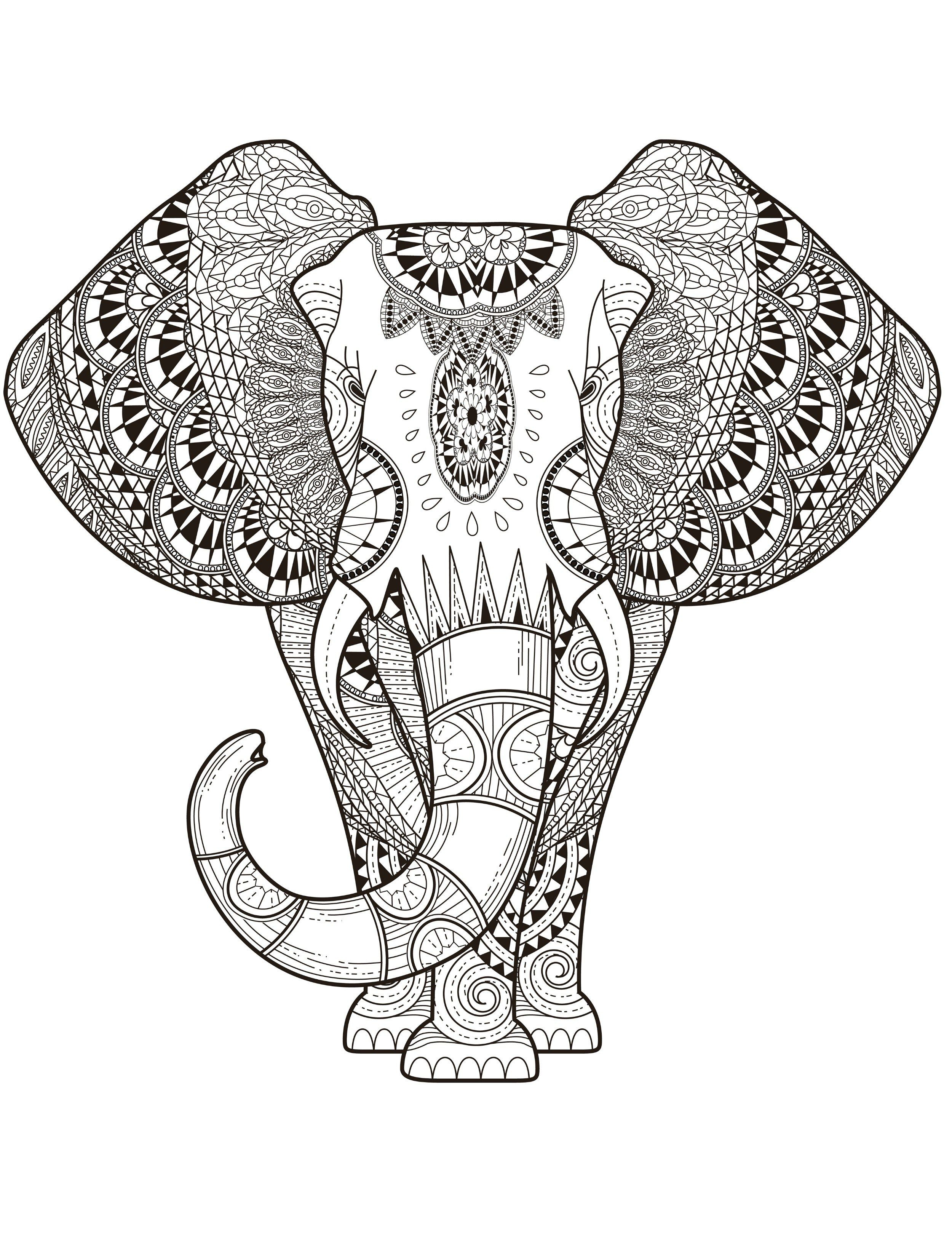 coloring elephant adults