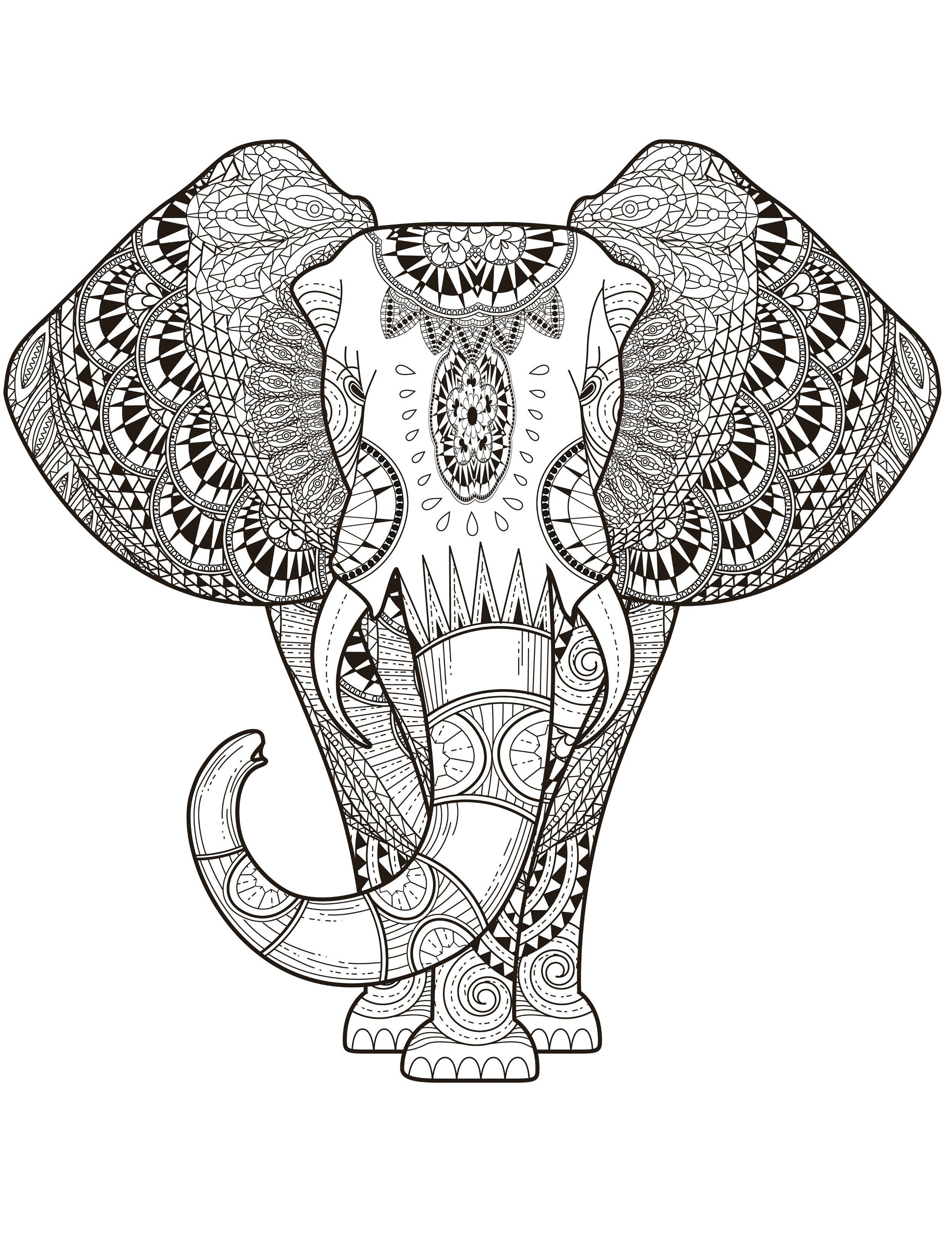 Download Elephant Coloring Pages for Adults - Best Coloring Pages For Kids