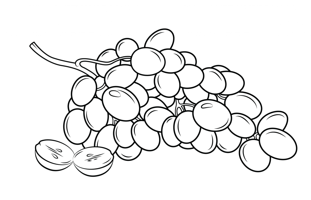 Grapes Bunch Coloring Pages