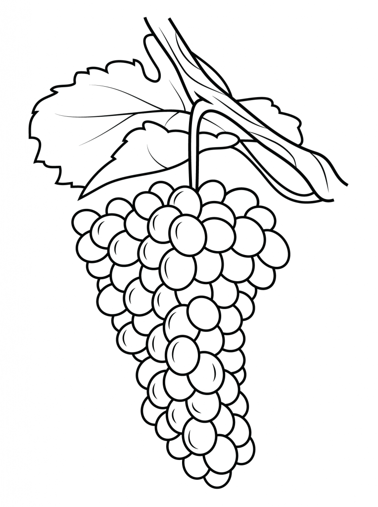 Grapes Coloring Page