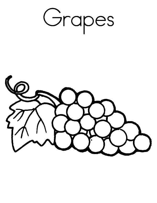 Download Grapes Coloring Pages - Best Coloring Pages For Kids