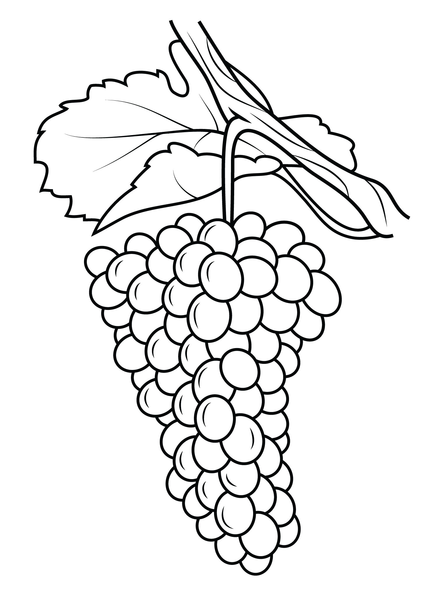 Download Grapes Coloring Pages - Best Coloring Pages For Kids