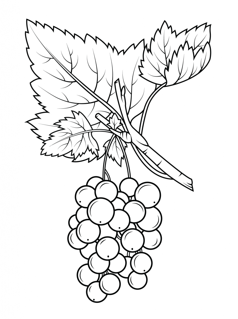 Grapes Coloring Pages