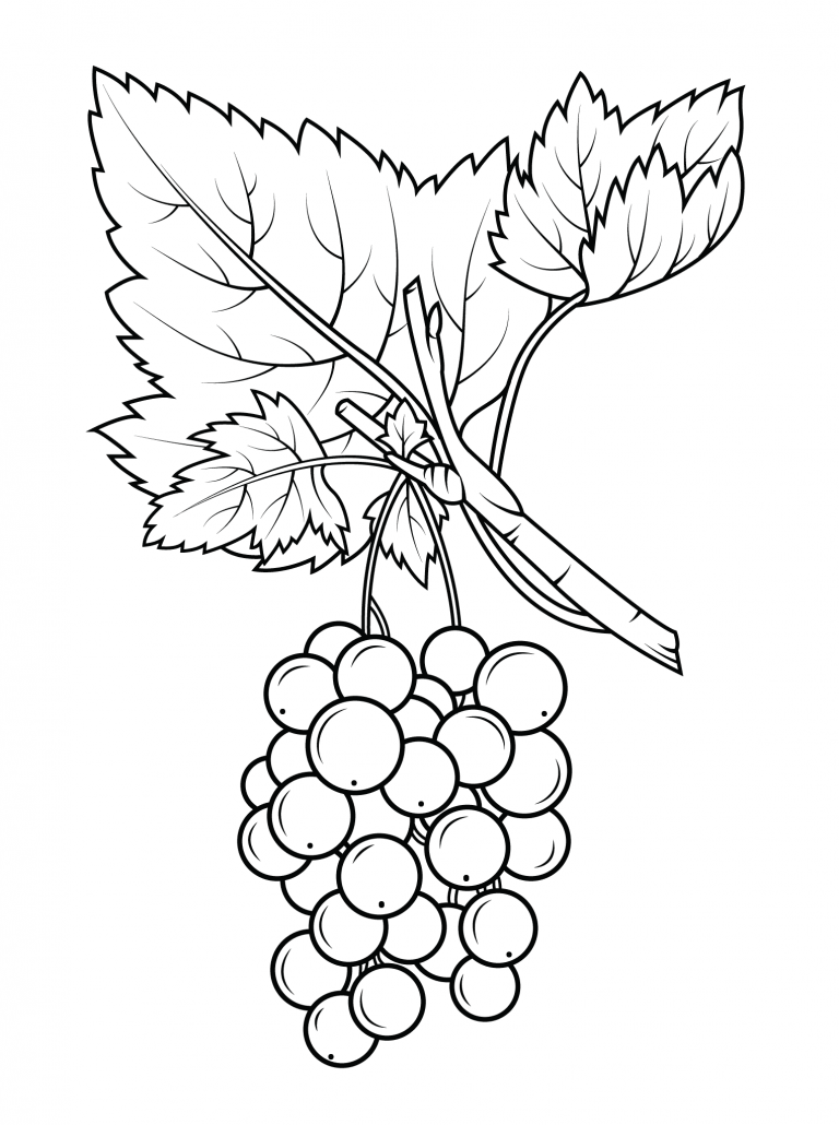 Grapes Coloring Pages - Best Coloring Pages For Kids