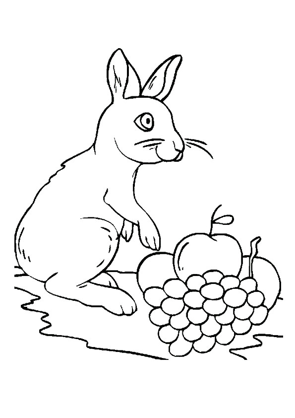 Download Grapes Coloring Pages - Best Coloring Pages For Kids