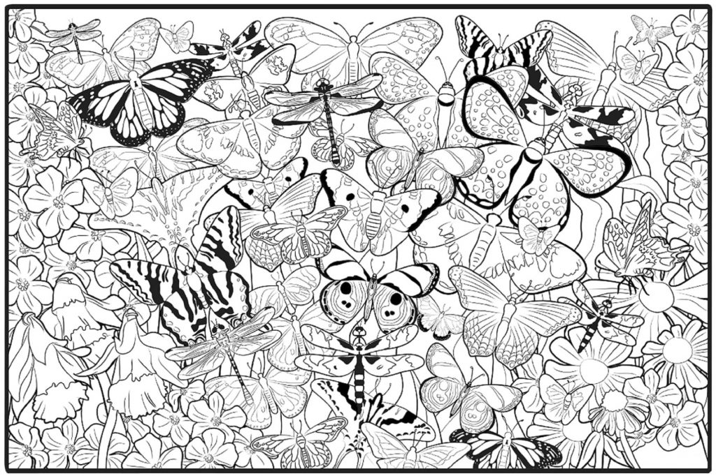 Hard Butterfly Coloring Pages for Adults