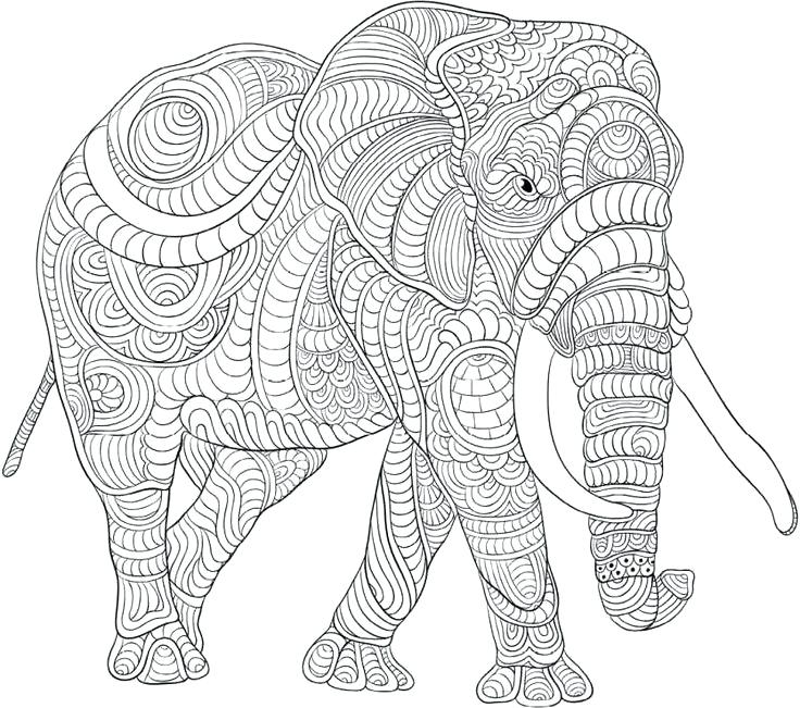 Elephant Coloring Pages for Adults - Best Coloring Pages For Kids