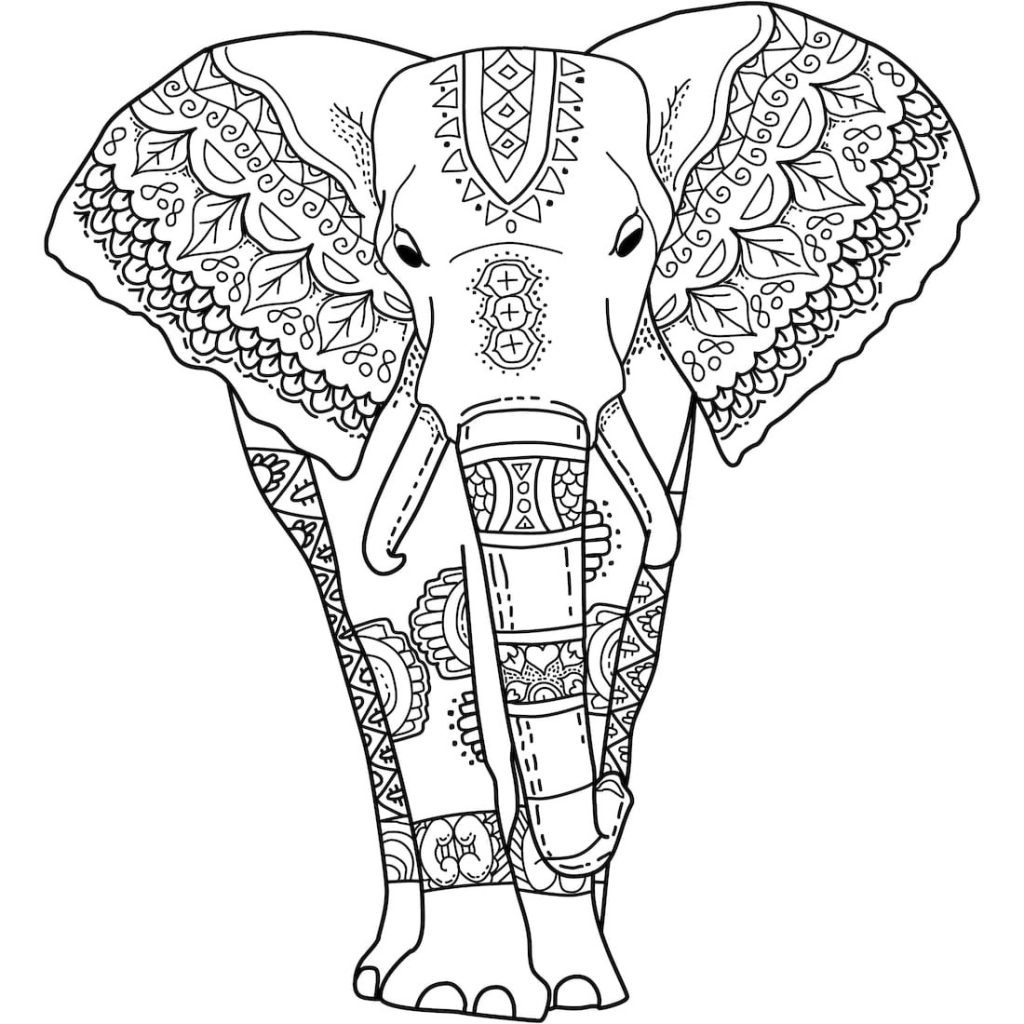 India Elephant Coloring Pages for Adults