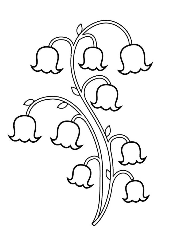 Lily Of The Valley Coloring Page