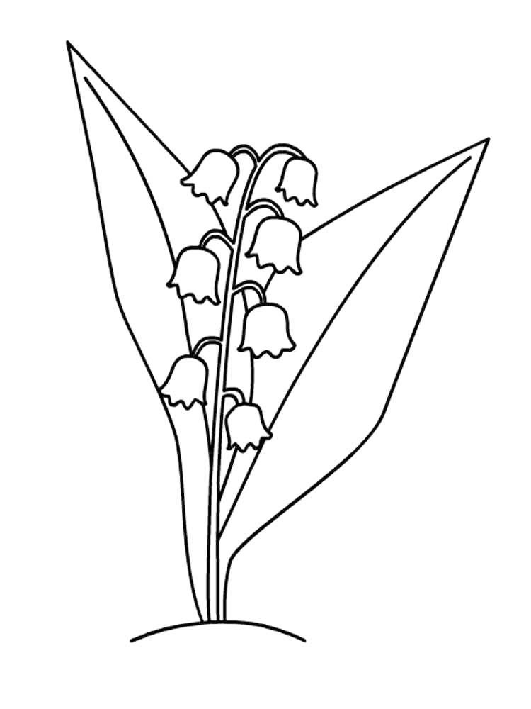 Lily Of The Valley May Flower Coloring Page
