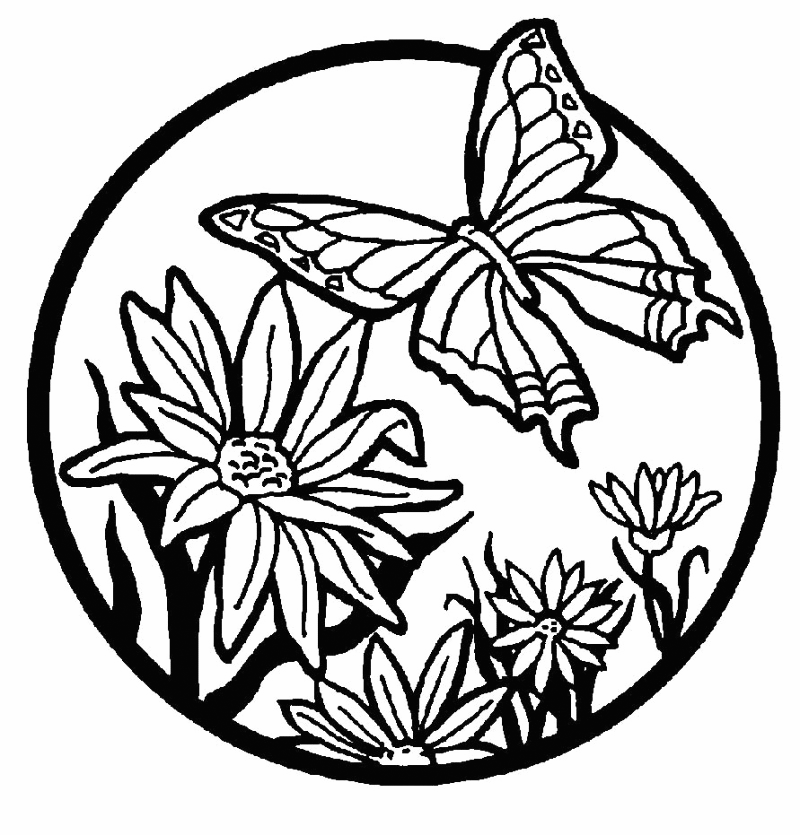 May Butterfly Coloring Page