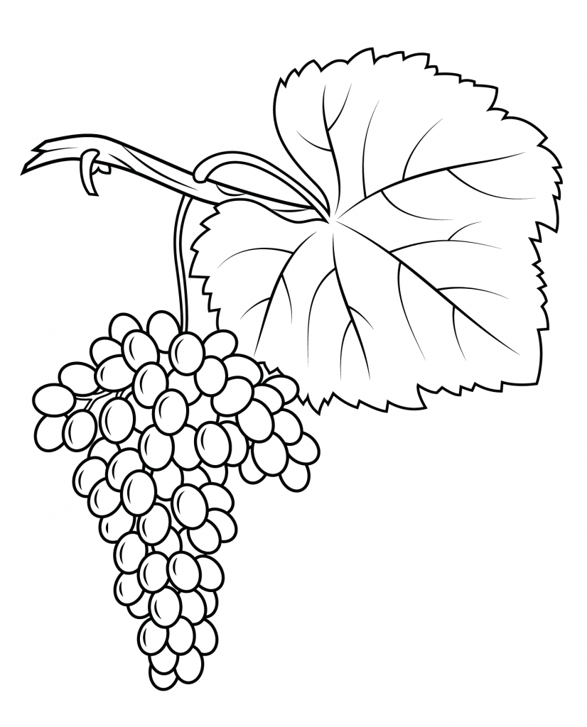 Print Grapes Coloring Page