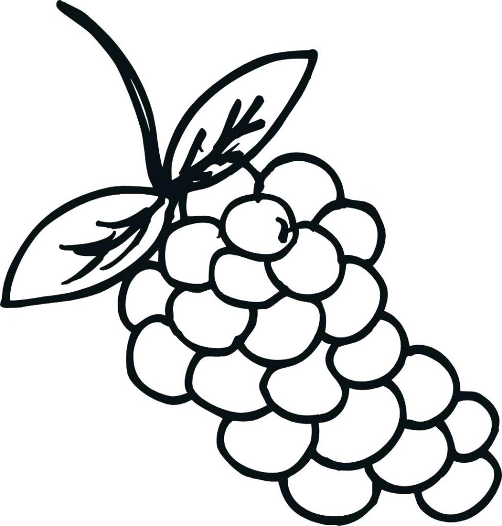 Print Grapes Coloring Page