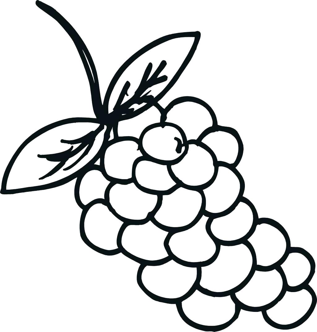 Download Grapes Coloring Pages - Best Coloring Pages For Kids