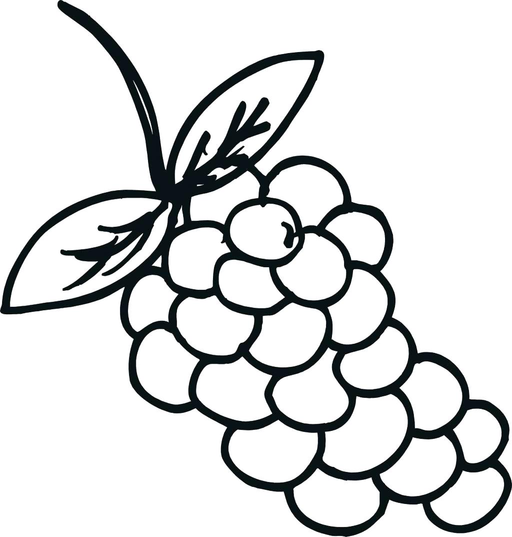 Grapes Coloring Pages Best Coloring Pages For Kids