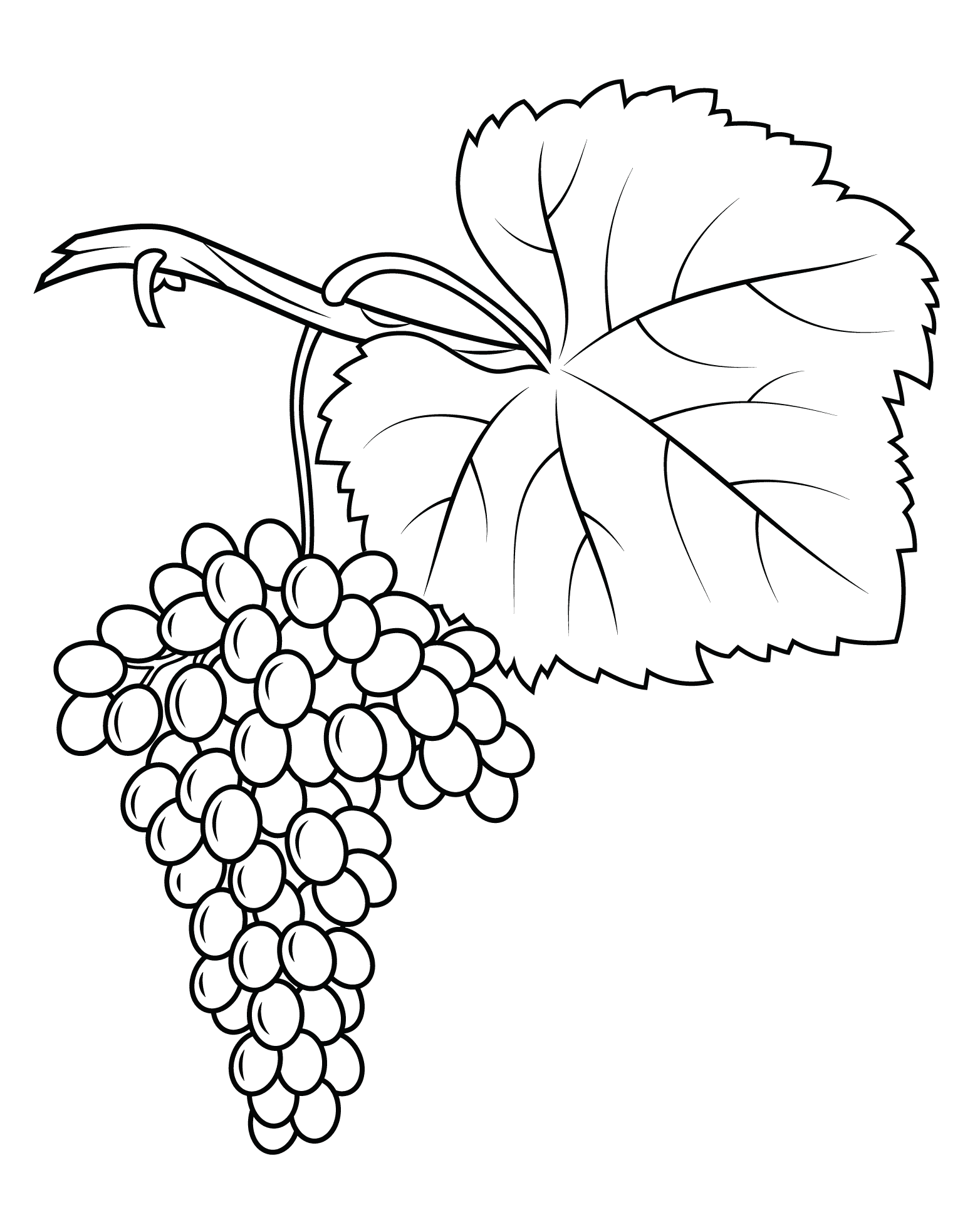 Download Grapes Coloring Pages - Best Coloring Pages For Kids