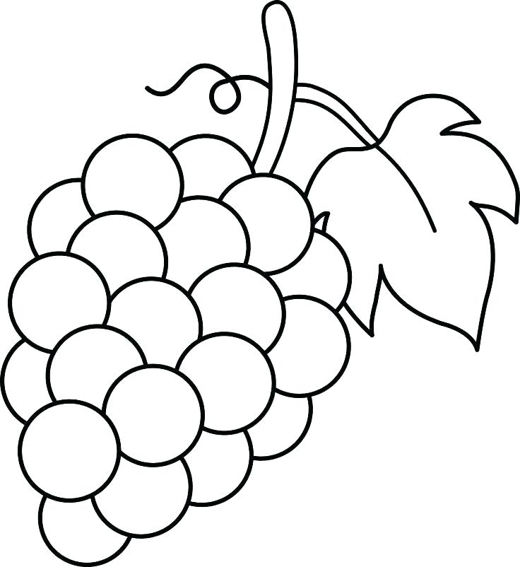 grapes-coloring-pages-best-coloring-pages-for-kids