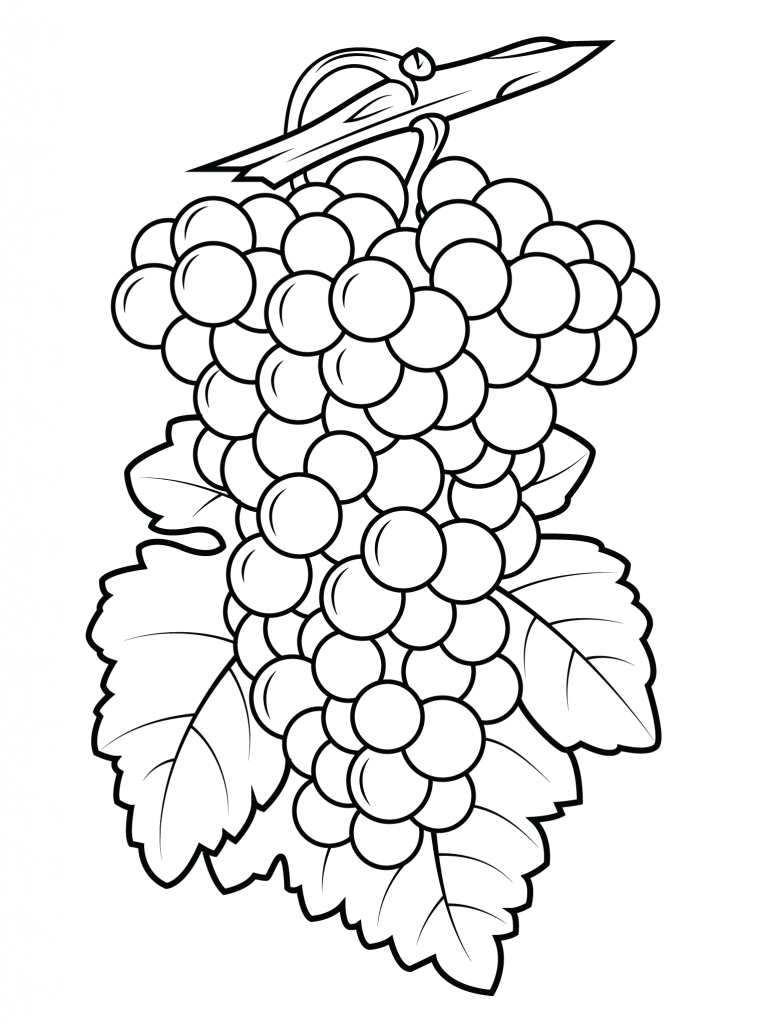 Download Grapes Coloring Pages - Best Coloring Pages For Kids