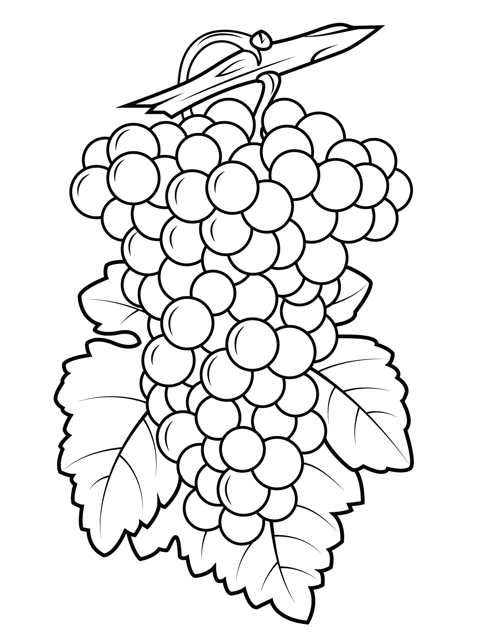 Grapes Coloring Pages - Best Coloring Pages For Kids