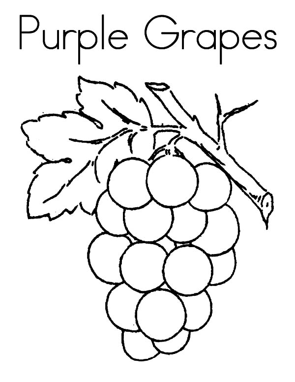 Grapes Coloring Pages Best Coloring Pages For Kids