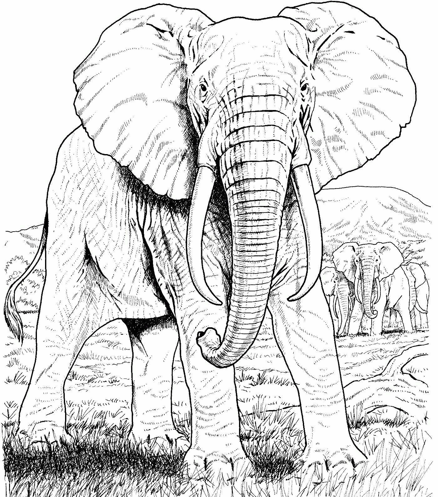 Elephant Pencil Case Coloring Page