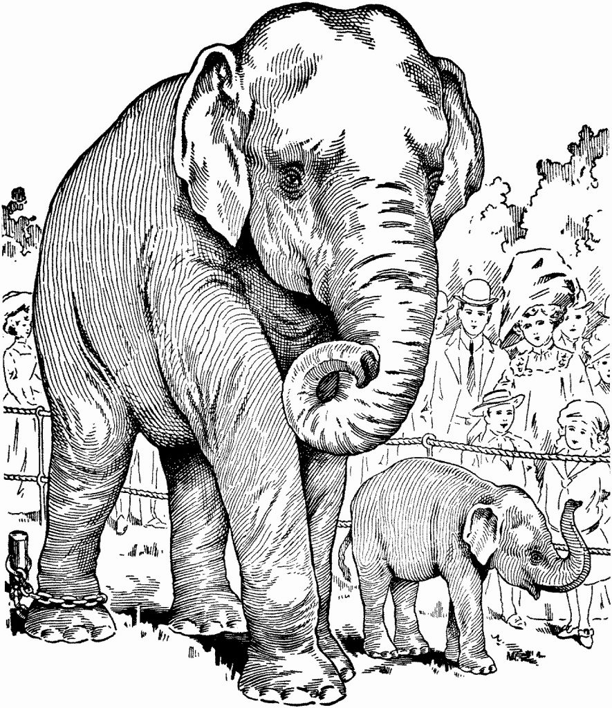 Realistic Elephant Mother and Child Coloring Sheet