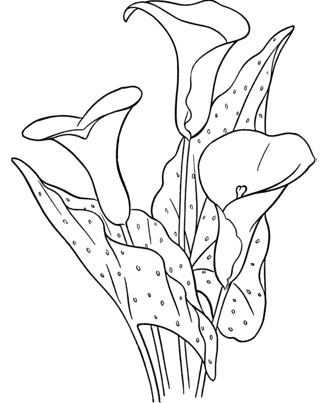 May Coloring Pages - Best Coloring Pages For Kids