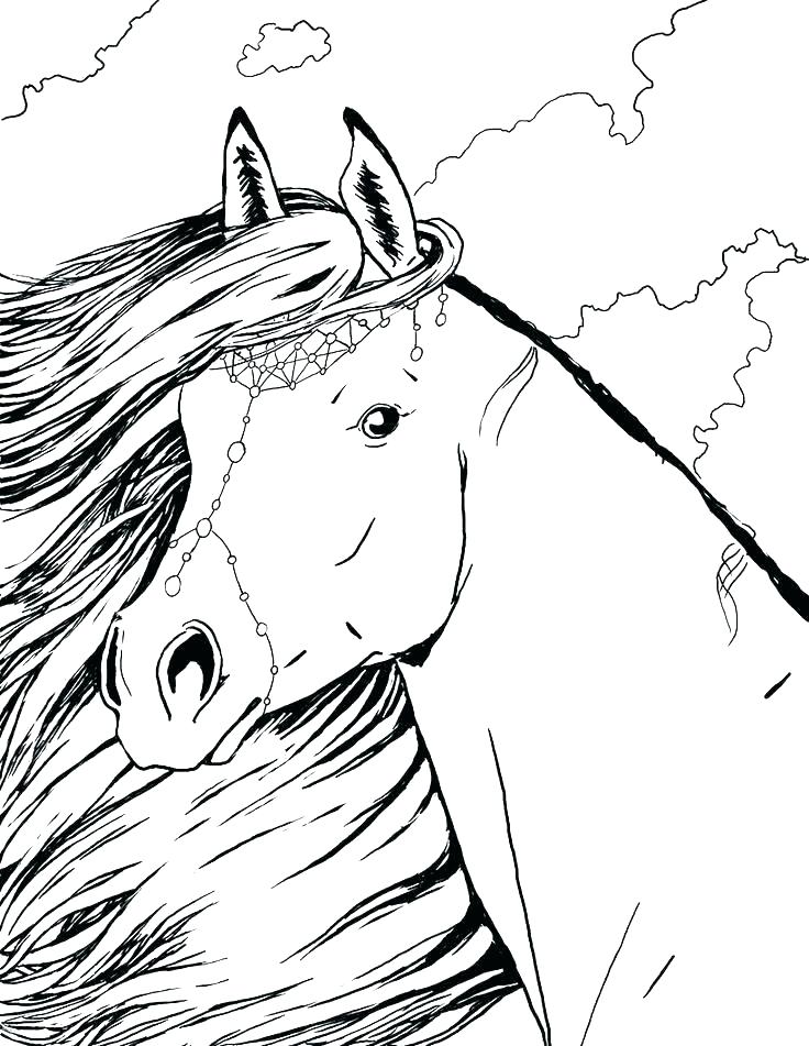 Beautiful Horse Coloring Pages for Adults