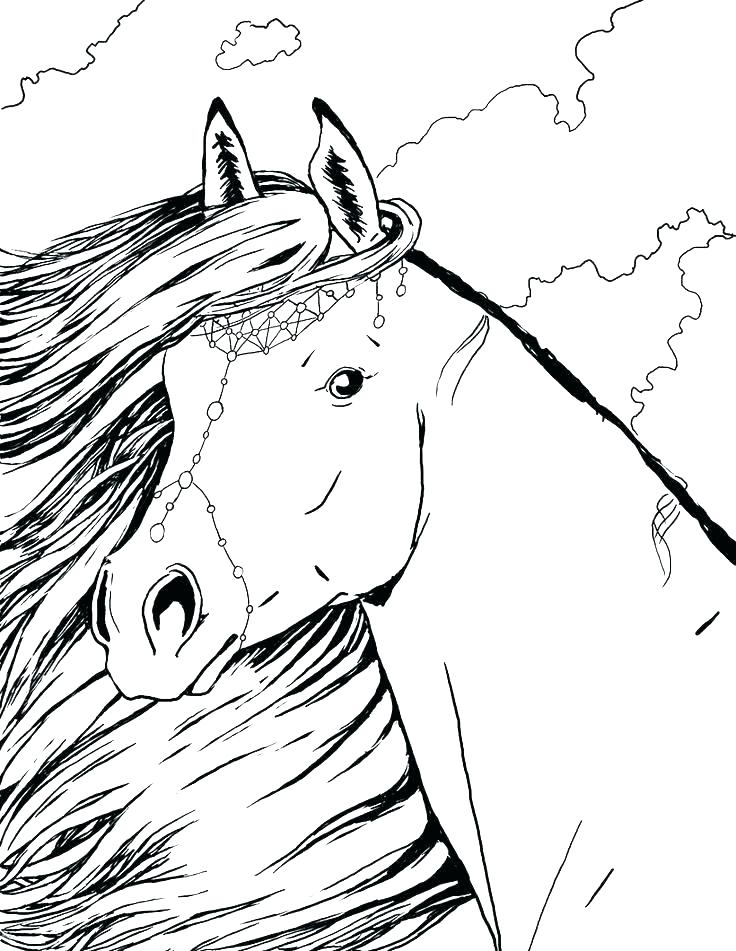 horse coloring pages