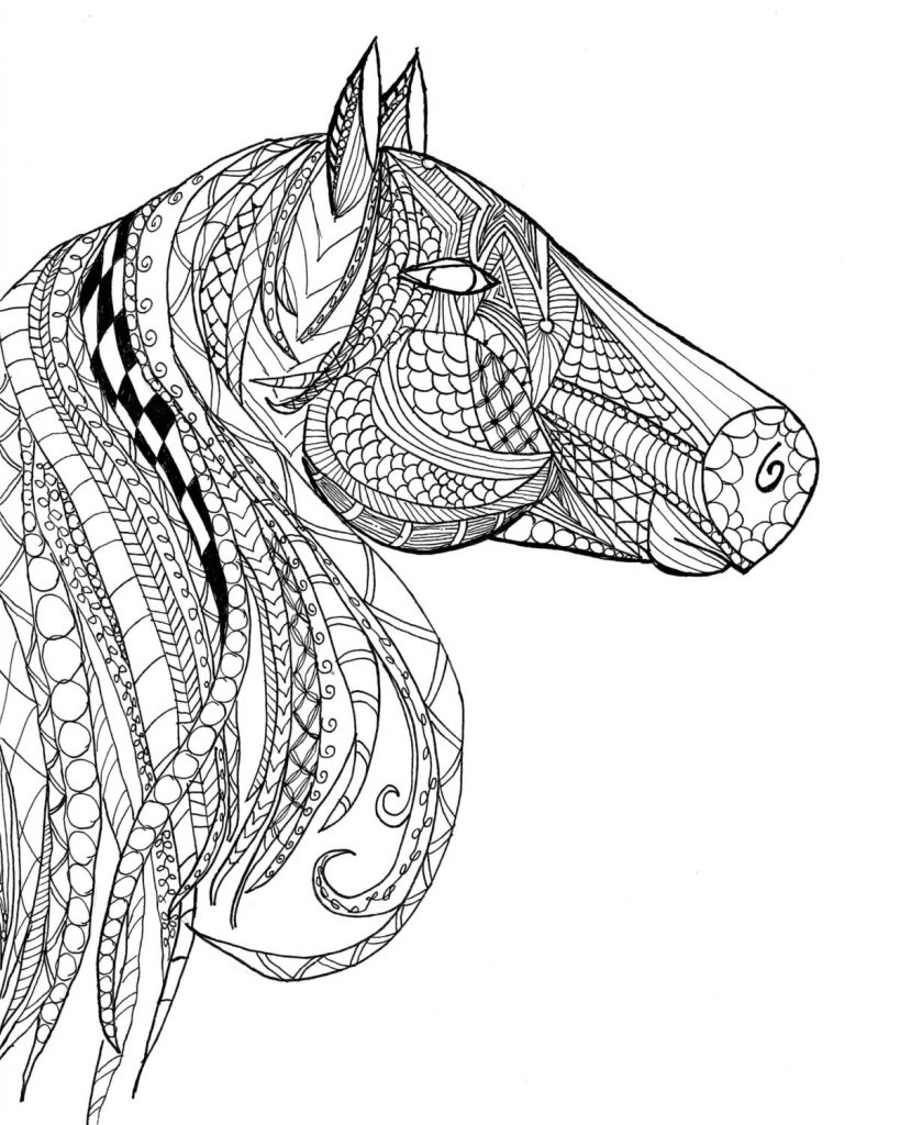 Detailed Horse Head Coloring Pages for Adults