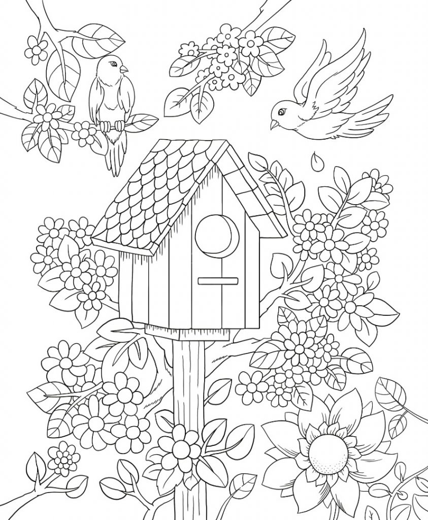 Floral Birdhouse Coloring Pages For Adults