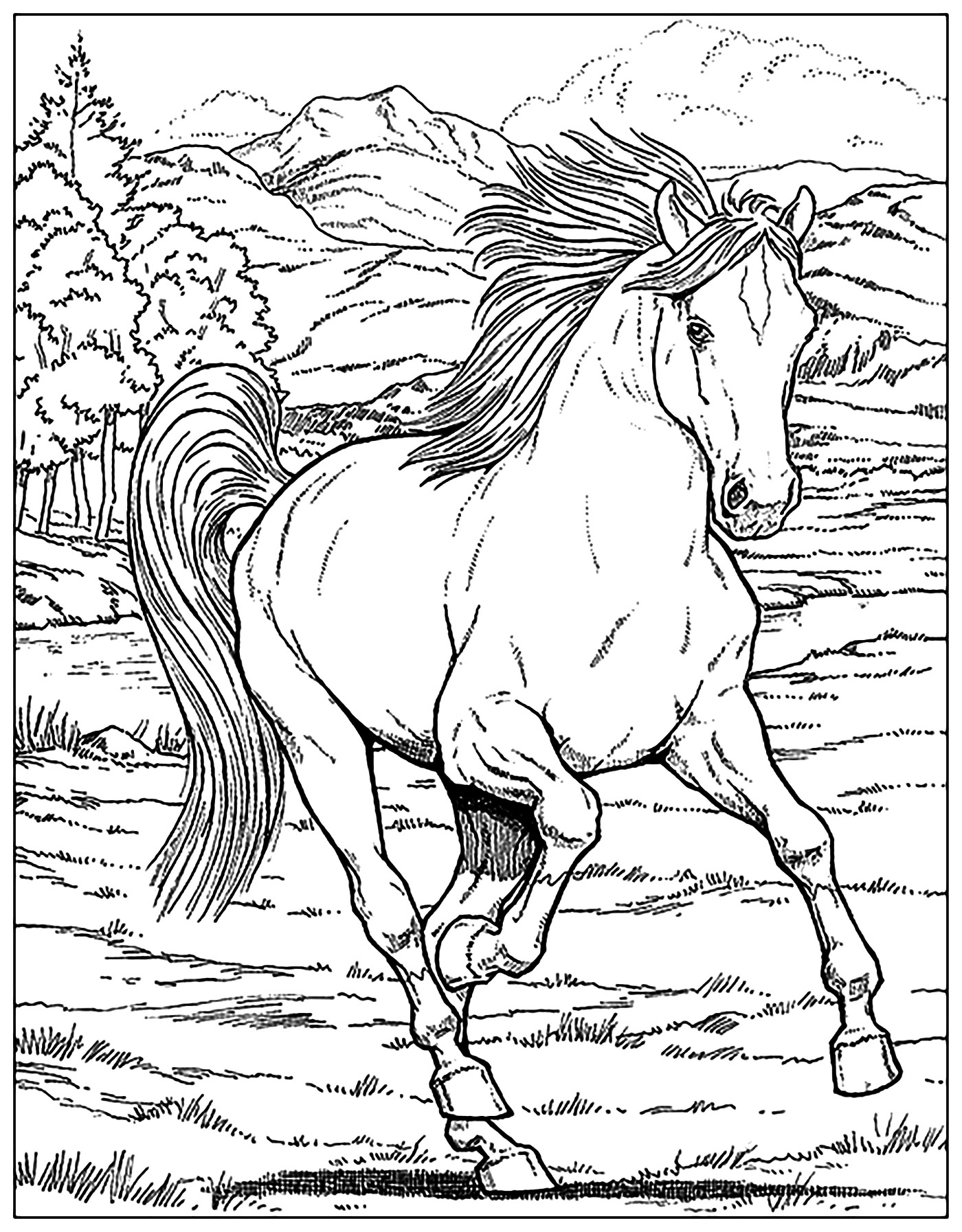 Free Horse Coloring Pages For Adults & Kids   COWGIRL Magazine