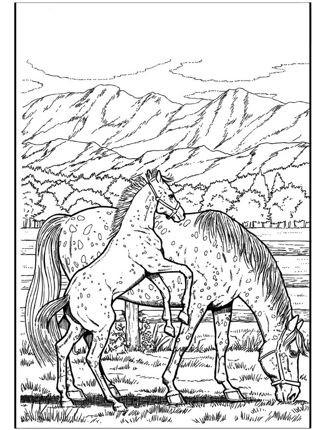 Download Horse Coloring Pages for Adults - Best Coloring Pages For Kids