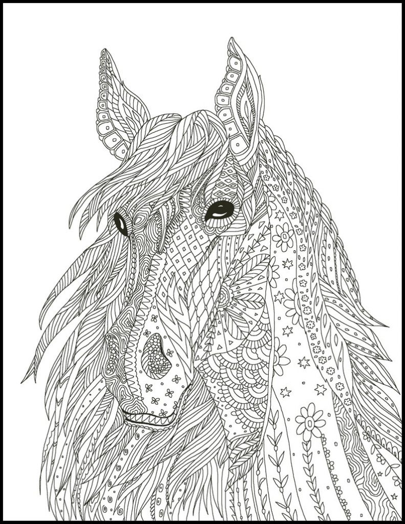 Intricate Horse Coloring Pages for Adults