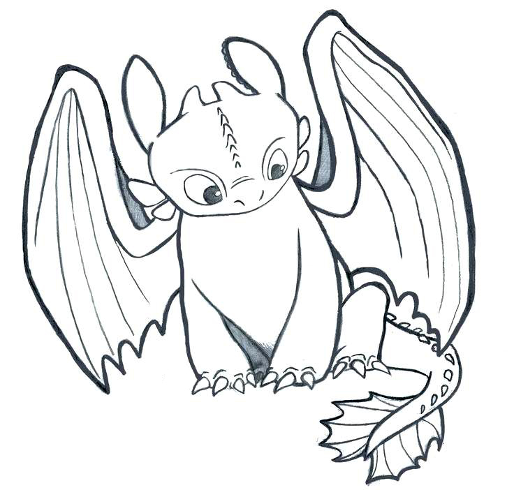 Toothless Coloring Pages - Best Coloring Pages For Kids