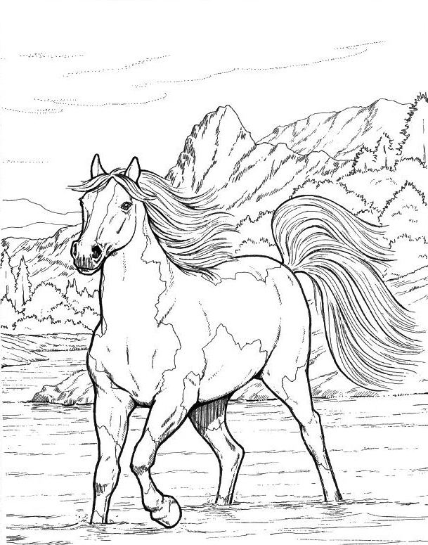 horse coloring pages for adults best coloring pages for kids