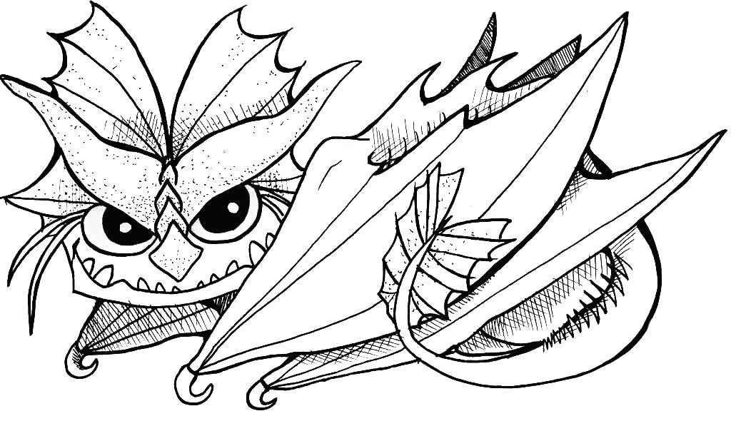 Toothless Printable Coloring Pages