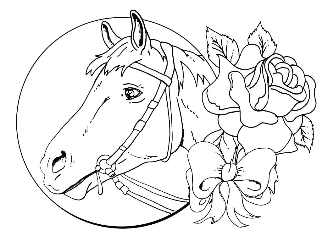 Winner Horse Coloring Pages for Adults