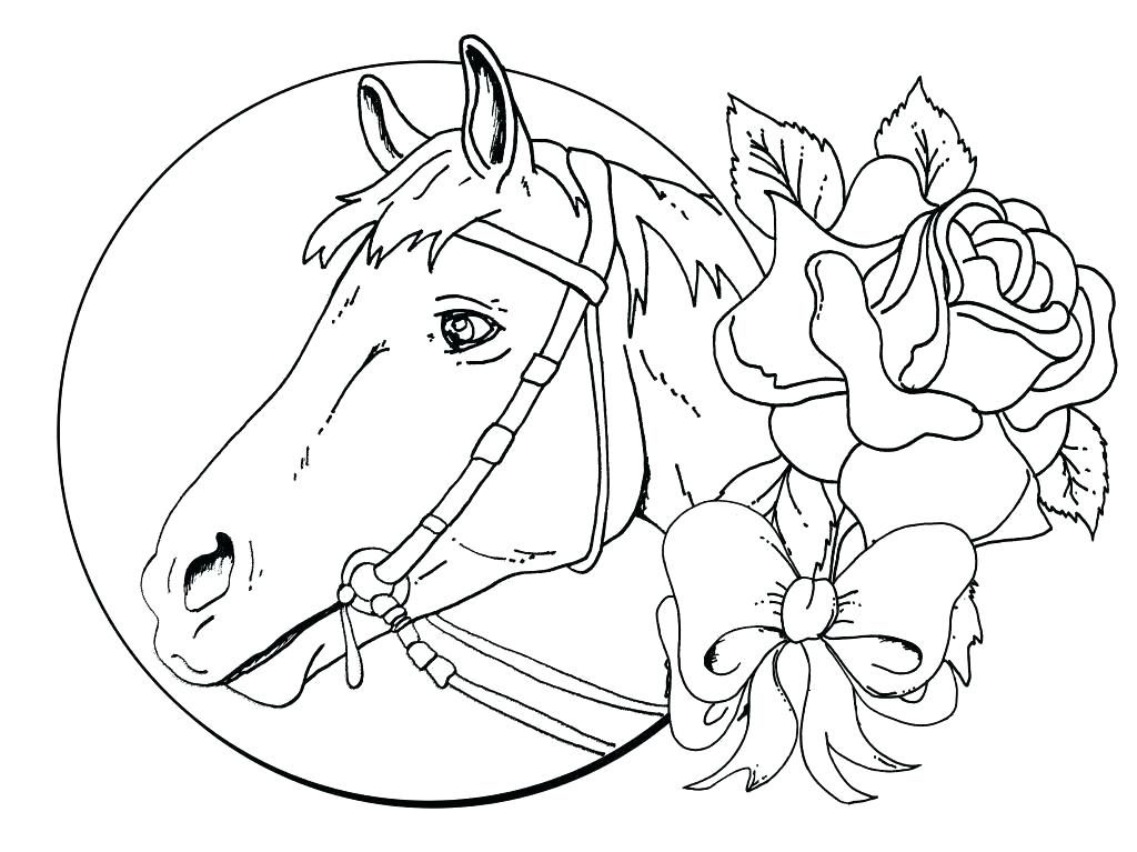 Download Horse Coloring Pages For Adults Best Coloring Pages For Kids