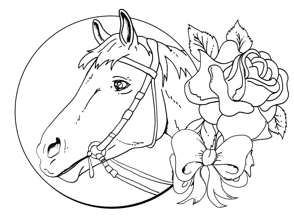 Horse Coloring Pages for Adults - Best Coloring Pages For Kids