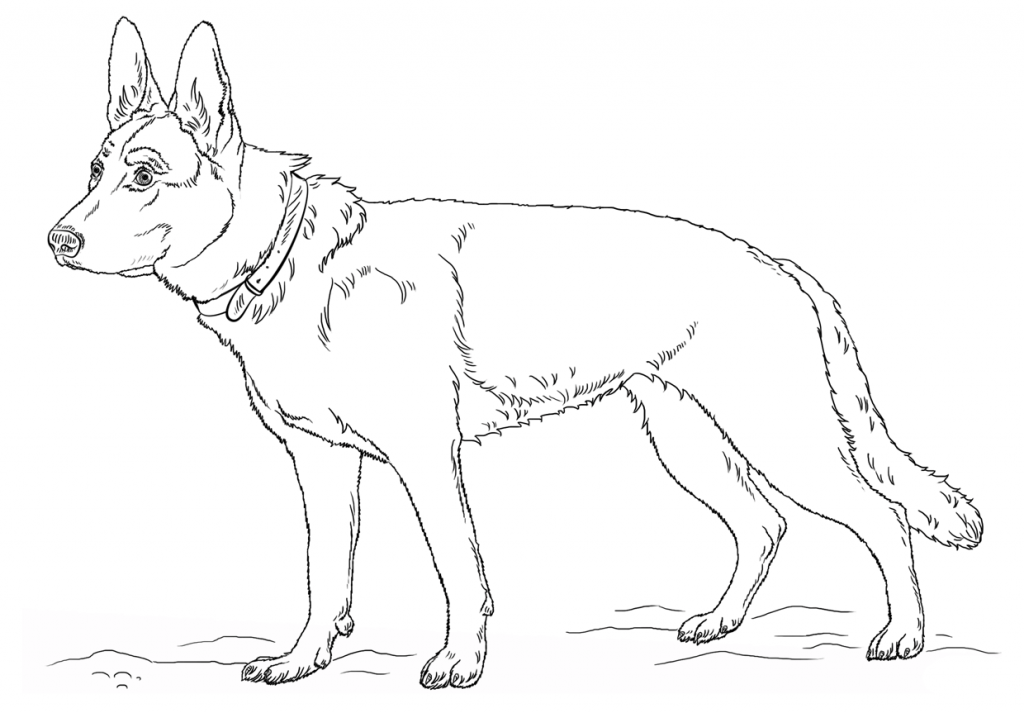 Cute German Shepherd Coloring Pages