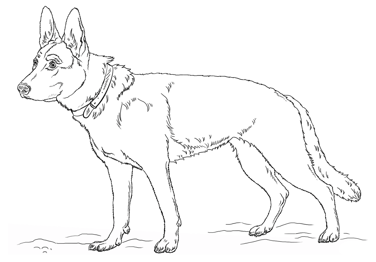 Featured image of post Realistic Puppy Coloring Pages To Print - Jump down to these coloring pages on this dog page: